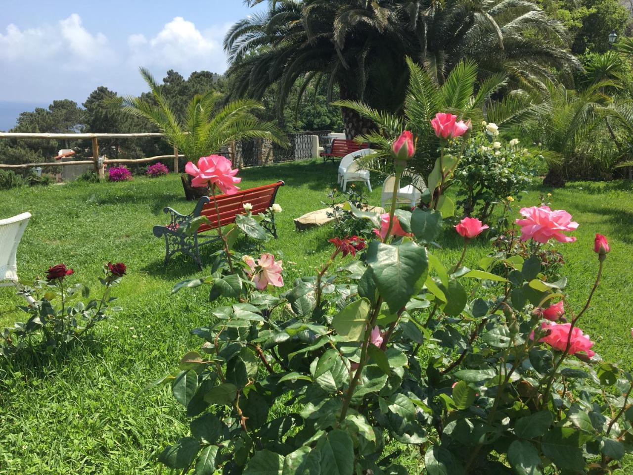Paradiso Di Manu Noli Ngoại thất bức ảnh